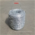 installing designs barbed wire fence for sale